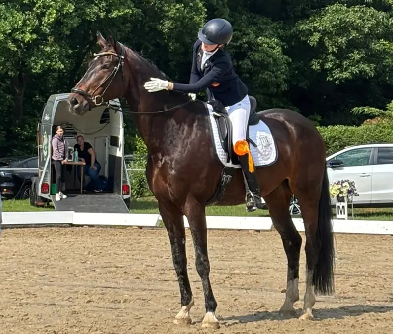 HadE_Fridericus_Sieg_DressurpferdeA