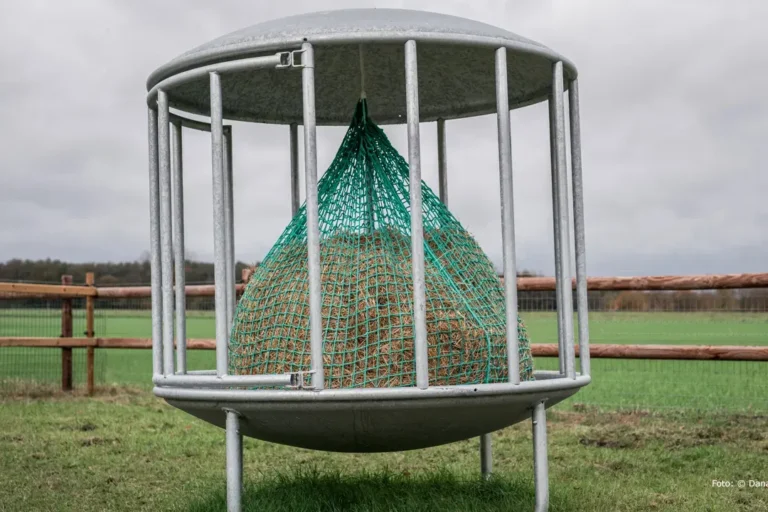 Heuraufe