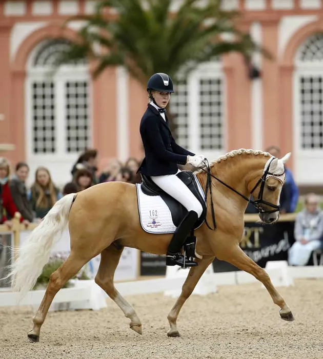 Inga Katharina Schuster Vermarktung Sportponys