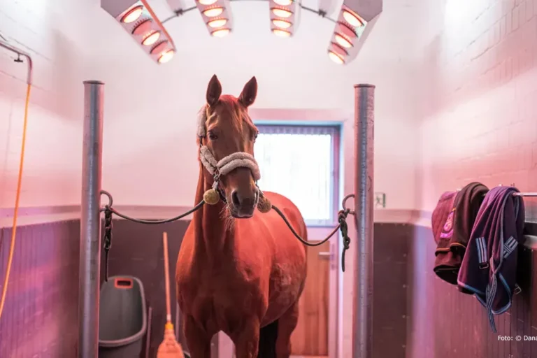 Solarium