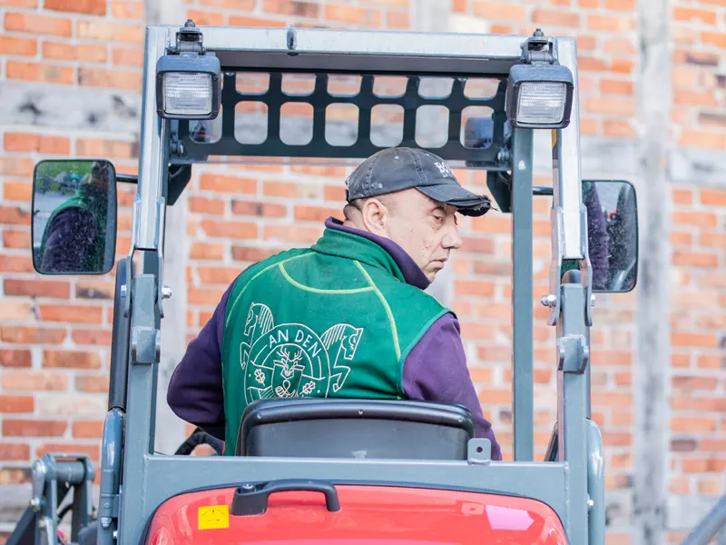 Vasile_Hof an den Eichen Vasile_Hof an den Eichen