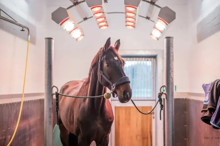 Waschplatz mit Solarium